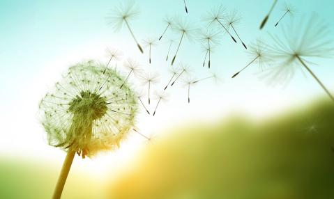 Relevancy sowing seeds