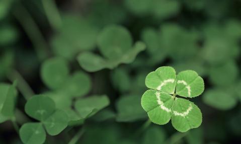 unique selling proposition