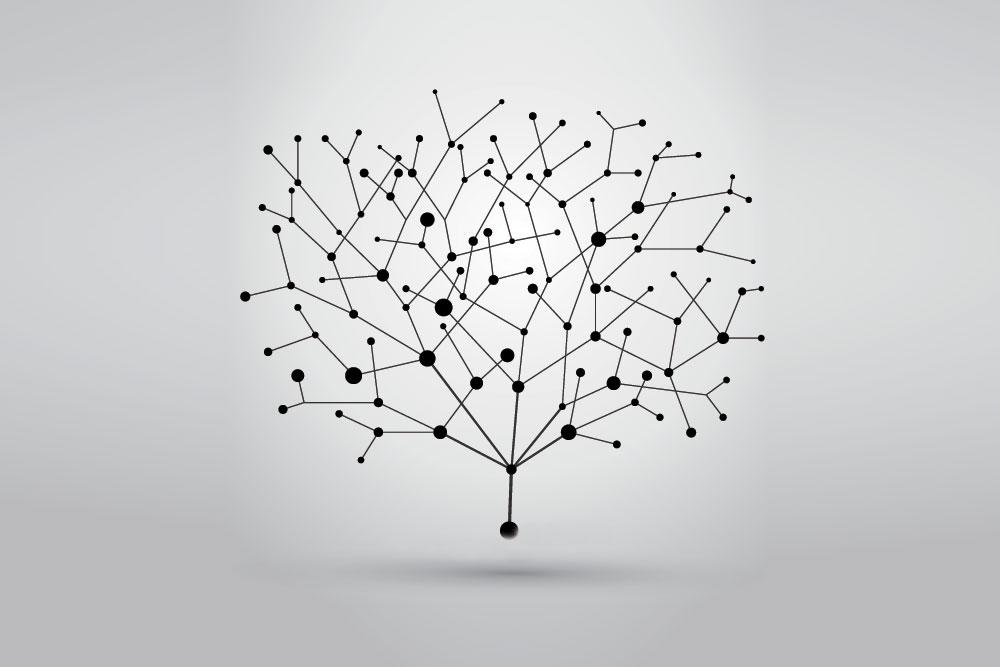 Lexicographical tree