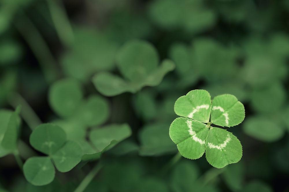 unique selling proposition